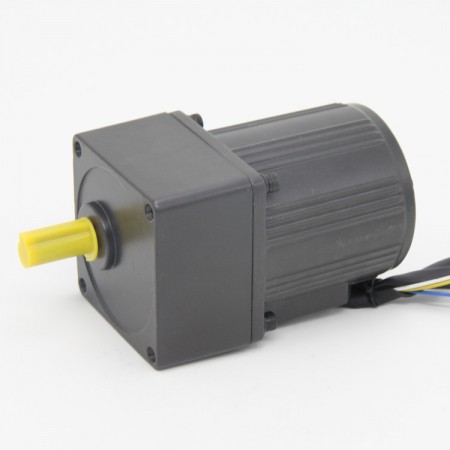 250W-Induction-motor